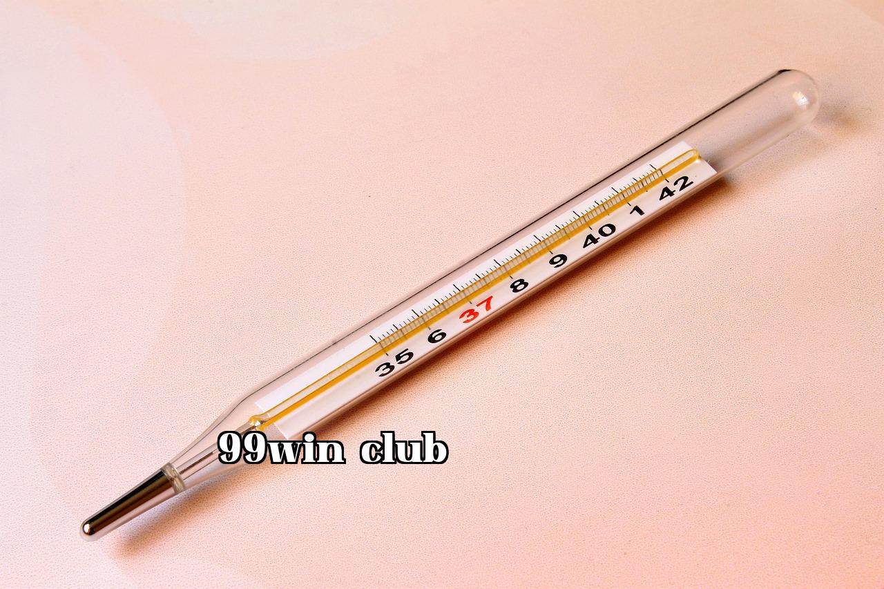 Sử dụng REST Client trong VS Code để kiểm thử API - i99bet