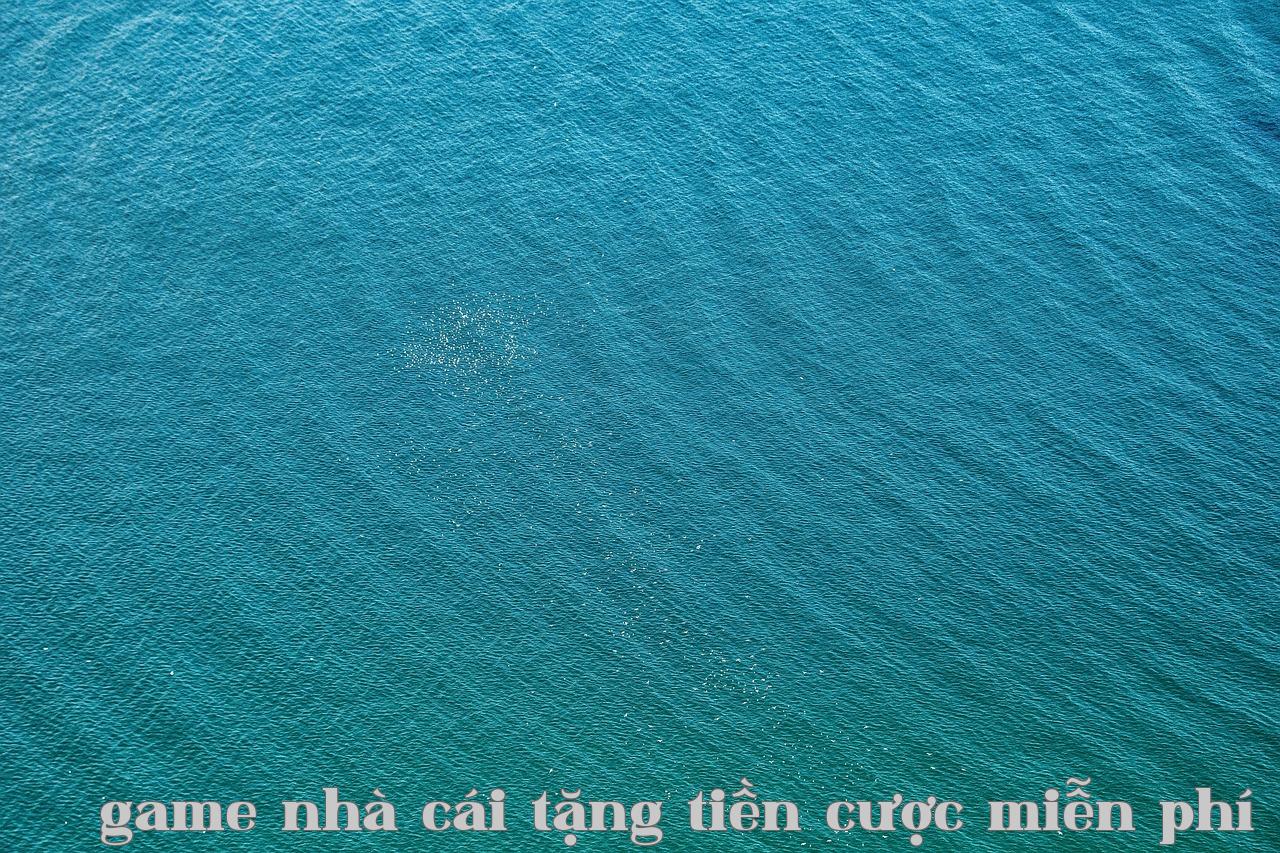 Bài học về "miễn phí" từ Follow một lần nữa - game nhà cái tặng tiền cược miễn phí